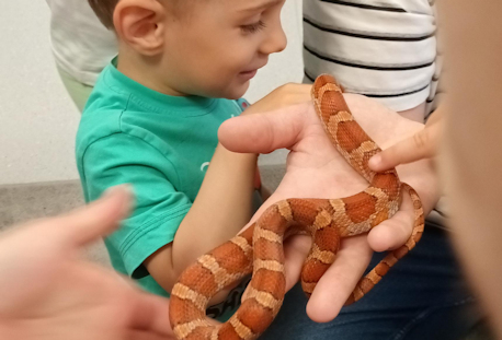 Warsztaty zoologiczne